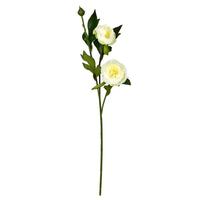 Vickerman 16" Artificial Cream Peony Spray (6 pack)