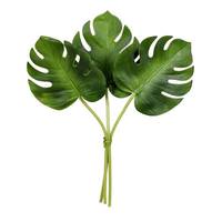 View 13" Artificial Green Split Philo Leaf Bundle (2 pack)