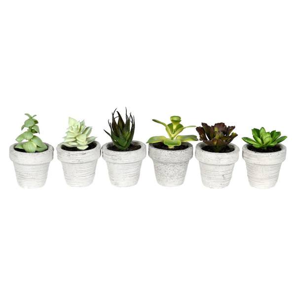 4" Artificial Green Potted Succulent (Set of 6)