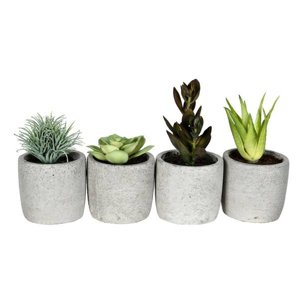 6" Artificial Green Potted Succulent (Set of 4)