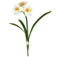 Vickerman 13" Artificial Cream Narcissus Spray (3 pack)