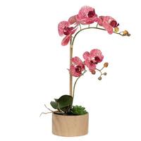 Vickerman 18" Artificial Mauve Orchid and Succulent Arrangement