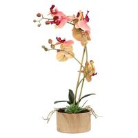 Vickerman 18" Artificial Pink / Orange Orchid and Succulent Arrangement