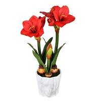 Vickerman 22" Artificial Red Amaryllis in White Marbled Clay Pot