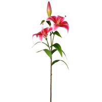 Vickerman 33.5" Artificial Pink Lily Spray (2 pack)