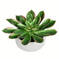 Vickerman 10" Artificial Potted Green Succulent