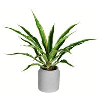 Vickerman 23" Artificial Potted Yucca Plant