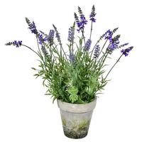 Vickerman 20" Artificial Lavender in Cement Pot