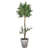 Vickerman 44" Artificial Green Plant in Pot
