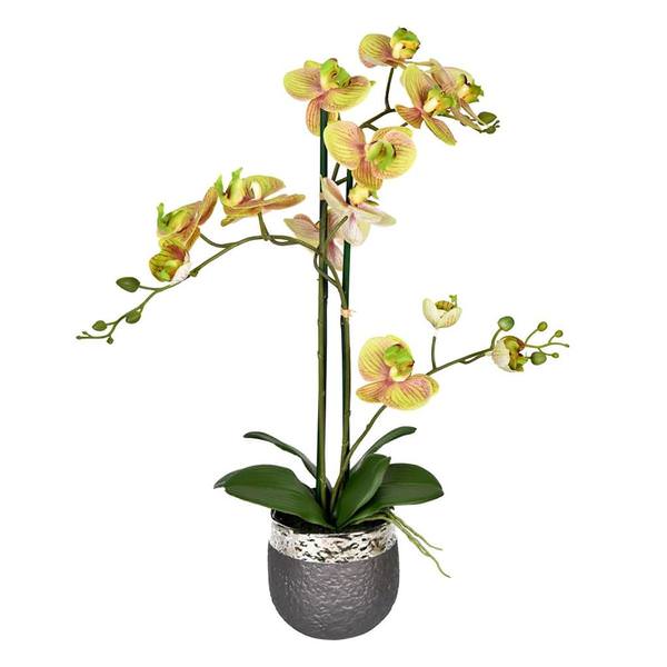 23.5" Artificial Green Phalaenopsis in Pot