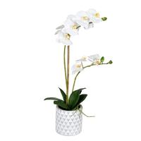 Vickerman 21" Artificial White Phalaenopsis in Pot
