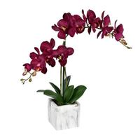 Vickerman 25" Artificial Dark Purple Phalaenopsis in Pot