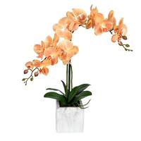 Vickerman 25" Artificial Coral Phalaenopsis in Pot