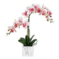 Vickerman 25" Artificial Pink White Phalaenopsis in Pot