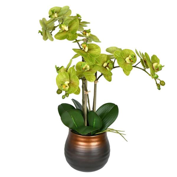 22" Artificial Green Phalaenopsis in Pot