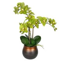 Vickerman 22" Artificial Green Phalaenopsis in Pot