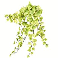 Vickerman 28" Artificial Light Green Ivy Hanging Bush