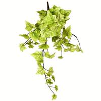 Vickerman 18" Artificial Light Green Ivy Hanging Bush (3 Pack)