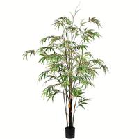 Bamboo Home / Office Trees