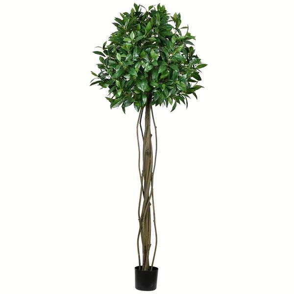 6' Artificial Potted Bay Leaf Tree