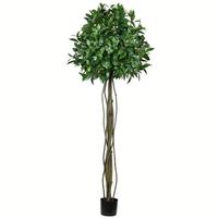 Vickerman 6' Artificial Potted Bay Leaf Tree