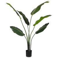 Vickerman 4' Potted Artificial Travelers Palm Tree