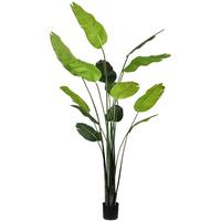 Vickerman 7' Potted Artificial Travelers Palm Tree
