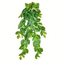 Vickerman 40" Artificial Pothos Hanging Bush