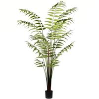Vickerman 7' Artificial Potted Leather Fern