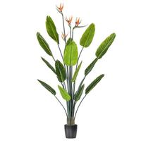 Vickerman 5' Potted Artificial Bird of Paradise Palm Tree
