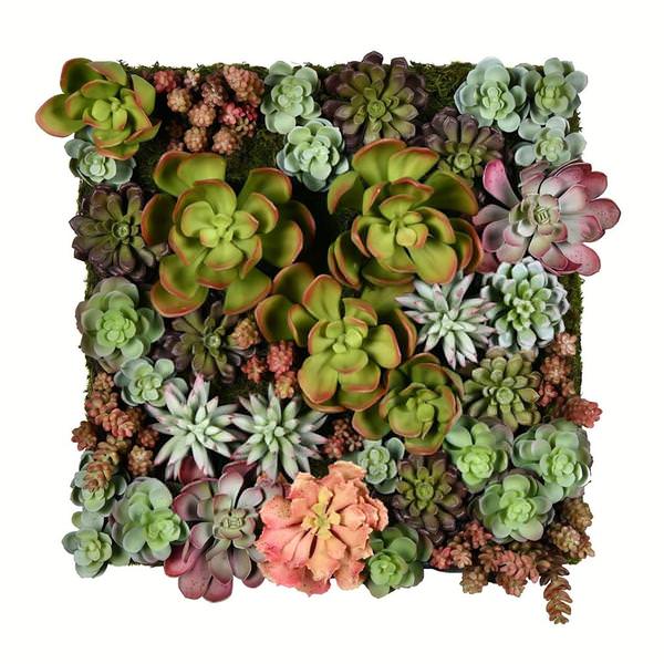 16.5" Artificial Multi-Colored Succulents Wall Arrangement