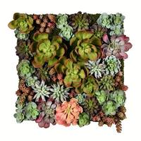 Vickerman 16.5" Artificial Multi-Colored Succulents Wall Arrangement