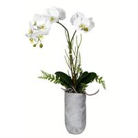 Vickerman 17" Artificial White Yellow Orchid in Glass Pot