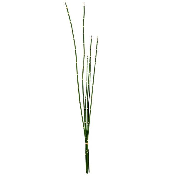 31" Artificial Green Horsetail Bundle (2 pack)