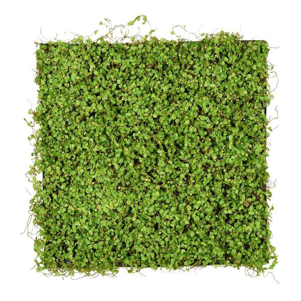 19.5" x 19.5" Artificial Green Leaves Square Mat