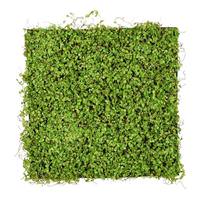 Vickerman 19.5" x 19.5" Artificial Green Leaves Square Mat