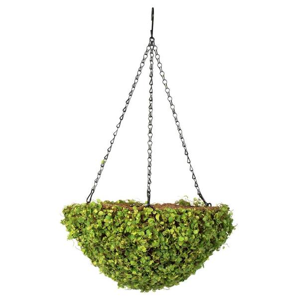 12" Green Mini Leaves Hanging Basket