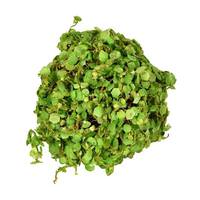 Vickerman 4" Artificial Green Mini Leaves Ball (4 pack)