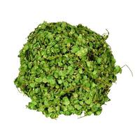 Vickerman 6" Artificial Green Mini Leaves Ball (2 pack)