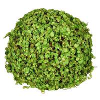 Vickerman 8" Artificial Green Mini Leaves Ball