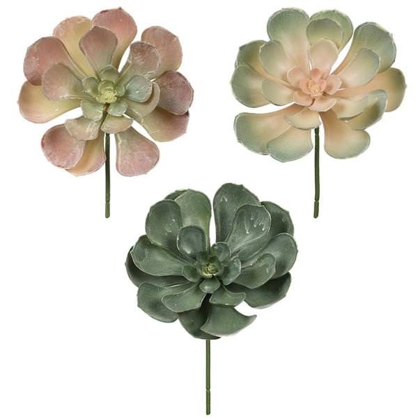 8.5" Artificial Peperomia Assorted Succulents (2 Sets of 3)