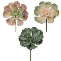 Vickerman 8.5" Artificial Peperomia Assorted Succulents (2 Sets of 3)