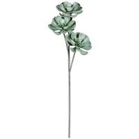 Vickerman 34" Artificial Apple Green Peperomia Succulent