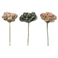 Vickerman 7.5" Artificial Rust Green Eichornia Succulent Pick (2 Sets of 3)