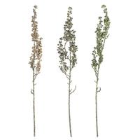 Vickerman 22" Artificial Mixed Green Senecio Spray Assortment (2 Sets of 3)
