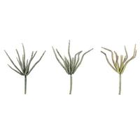 Vickerman 10.5" Artificial Mixed Green Haworthia Spray Assortment (2 Sets of 3)