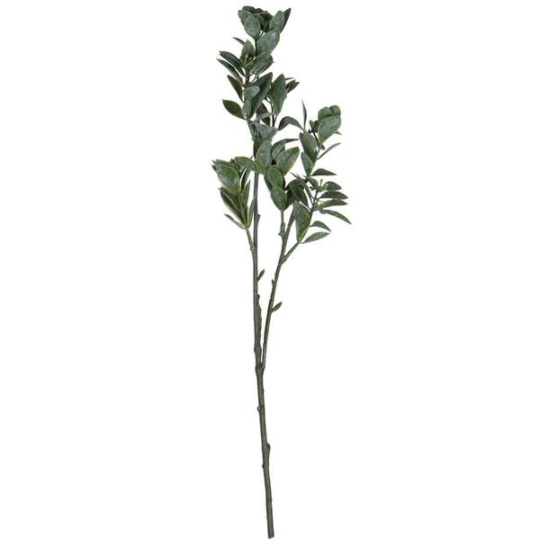 20" Artificial Green / White Aglaia Spray (6 pack)
