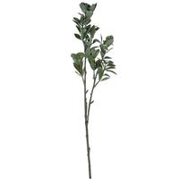 View 20" Artificial Green / White Aglaia Spray (6 pack)