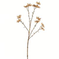 View 24" Artificial Beige Illicum Verum Spray (4 pack)