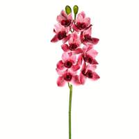 Vickerman 33" Artificial Pink Cymbidium Stem
